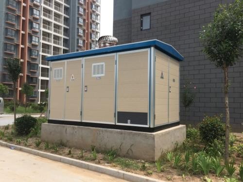 洛隆800KVA箱式变压器